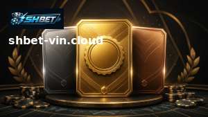 Poker 7 Lá Là Gì? Quy Định Cá Cược Người Chơi Nên Tìm Hiểu
